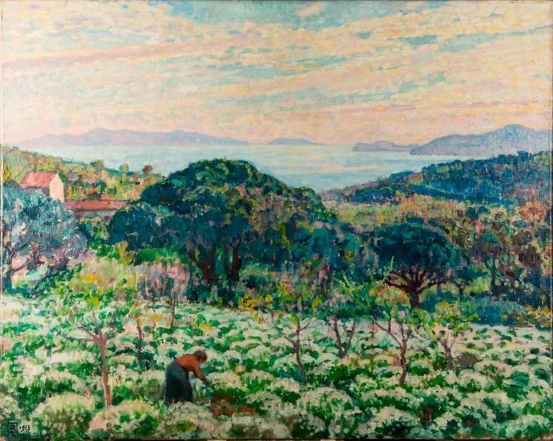 Campo di Anthémis (Saint - Clair, Var), 1913